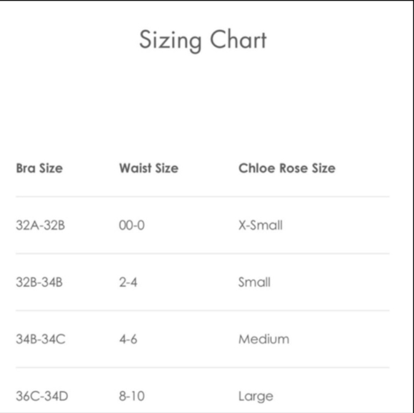 NWT Chloe Rose Revolve Birds Of Paradise Stone Gray Bikini Set XS - Picture 6 of 6